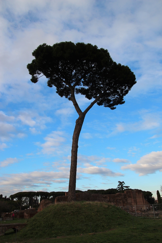 Italy (Jan 2012) 143.jpg
